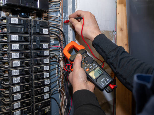 Best Electrical Troubleshooting Services  in Bull Valley, IL